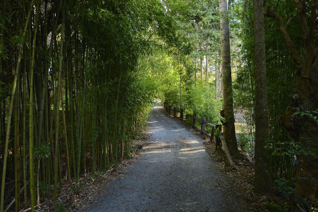 Escarpment Retreat & Day Spa For Couples Mount Tamborine Exterior photo