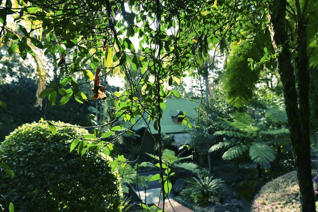 Escarpment Retreat & Day Spa For Couples Mount Tamborine Exterior photo