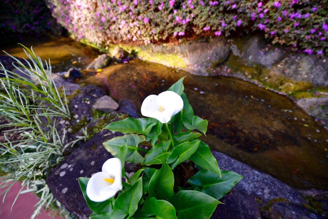 Escarpment Retreat & Day Spa For Couples Mount Tamborine Exterior photo